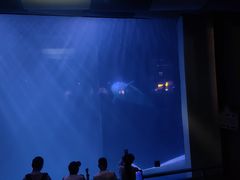 -大连圣亚海洋世界