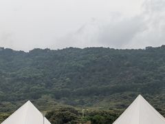 -风云岭森林公园