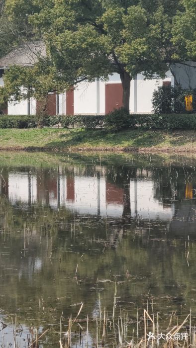 西溪国家湿地公园图片