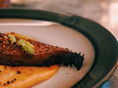 -Hi City·城市之巅