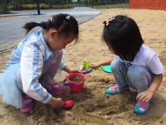 -春花秋色城市公园