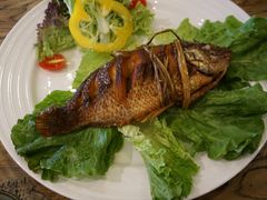 -兰木肆·云南菜(龙湖U城天街店)