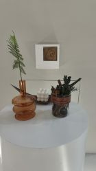 -VE小颜皮肤管理&科学美肤中心
