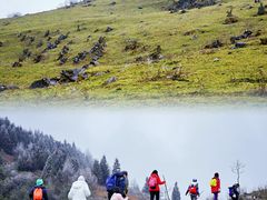 -武陵山森林公园