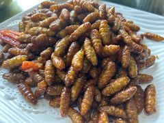 -凤厨顺德水乡凤味馆(大良锦龙路店)