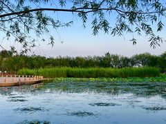 -绿堤公园