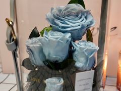 -星光摄影器材城