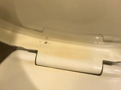 -上海新锦江大酒店