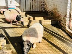 -金庭庄园酒店-停车场