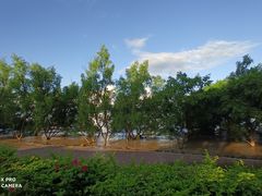 -宝安西湾红树林湿地公园