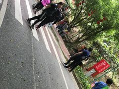 -大雁山风景区