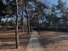 -望溪公园
