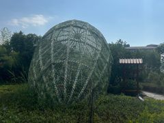 -凤翔首邑温泉度假村