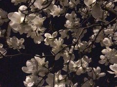 -悦江新远影城IMAX