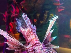 -沈阳海洋探索中心