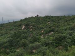 -白水寺森林公园
