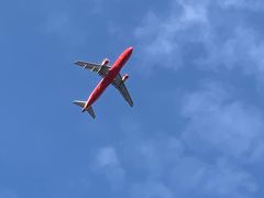 -空港花田景区