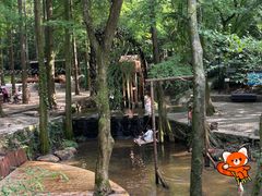 -波尔登森林公园