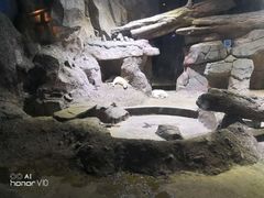 -临沂极地海洋王国