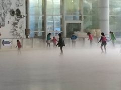 -世界之窗阿尔卑斯冰雪世界