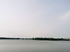 -丁香湖公园