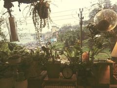 -懒鱼时光馆(沙坪坝店)