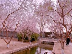 -三里河公园
