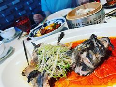 石斑鱼-三号黄浦会Canton Table