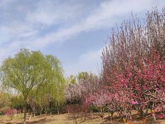 -东升八家郊野公园