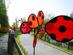 -前小桔亲子创意农场·草莓采摘·露营烧烤