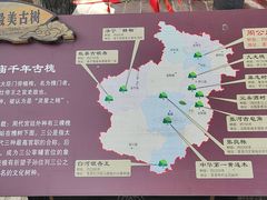 -洛阳周公庙博物馆