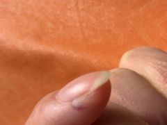 -苹果花园(襄阳南路店)