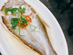清蒸白水鱼-新梅华(太仓万达店)