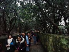 -普陀山风景区-佛顶山