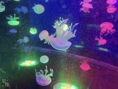 -梦幻海洋王国(吾悦广场张家港店)