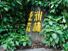 -广州长隆野生动物世界