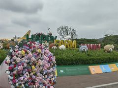 -苏州太湖西山岛开心农场