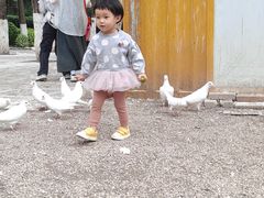 -昆明动物园