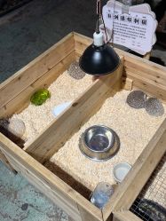 -酷嗒动物文化乐园(cutezoo西溪乐天城店)