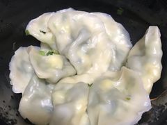 韭菜鸡蛋饺子-东北特色水饺(郭家桥店)