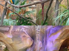 -杭州开元森泊度假乐园