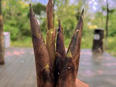 -盘龙城国家考古遗址公园