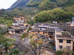 -杨家堂村