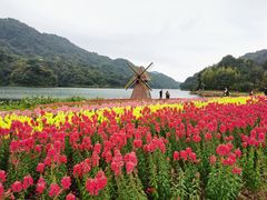 -广州市石门国家森林公园