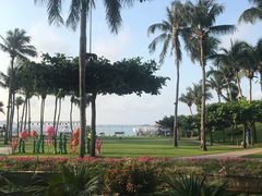 -渔家火锅·海鲜自助餐·演艺(亚龙湾天域酒店)