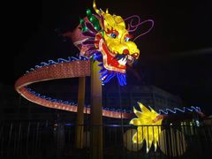 -锦江乐园舞狸花花游园会(夜场专享)