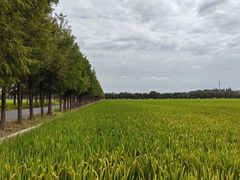 -嘉北郊野公园