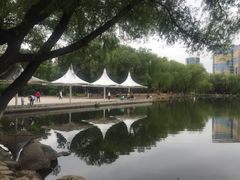 -青城公园