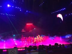 -广州长隆国际大马戏