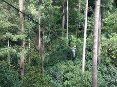 -清迈丛林飞跃 JungleFlight
